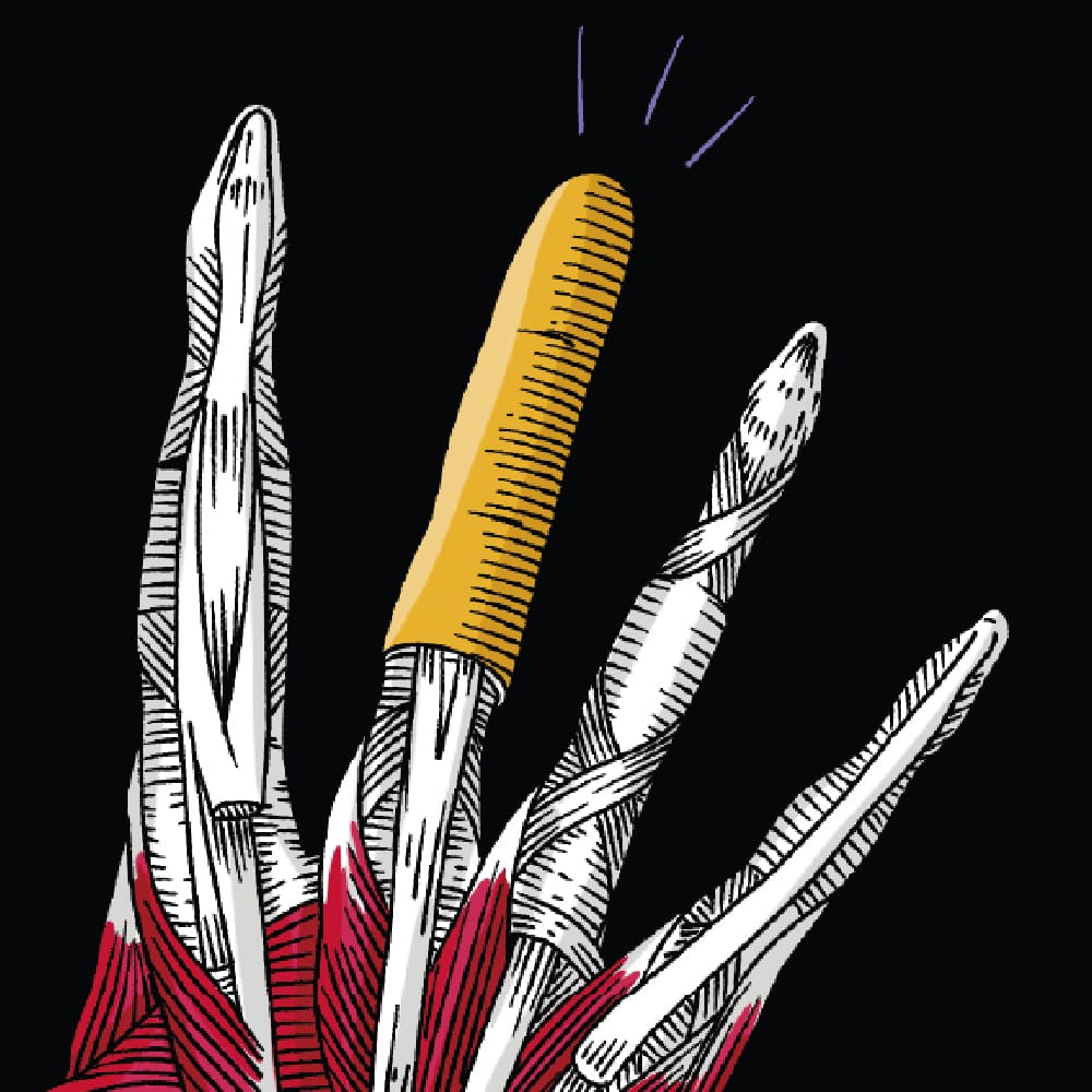 stampa-poster-bones-dettaglio