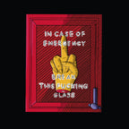 stampa-poster-emergency-fuck