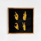 stampa-poster-mute_cornice