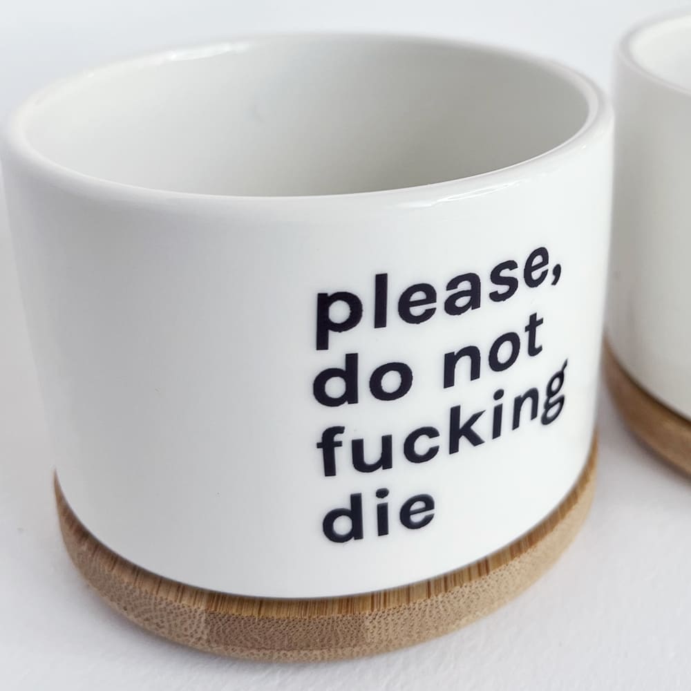 vasetto-piantine-dettaglio-fronte