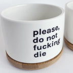 vasetto-piantine-dettaglio-fronte