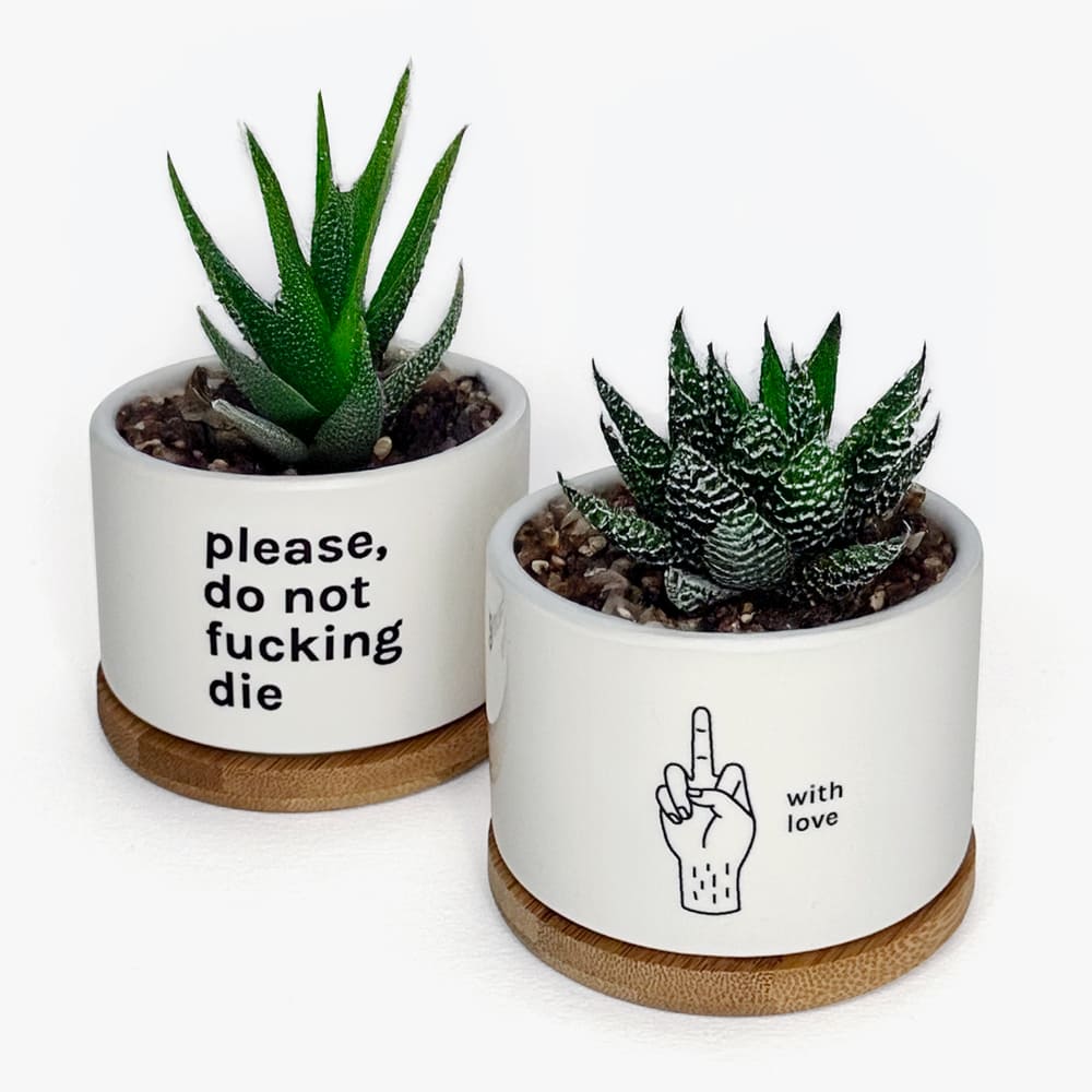 vasetto-piantine-doppio-piante